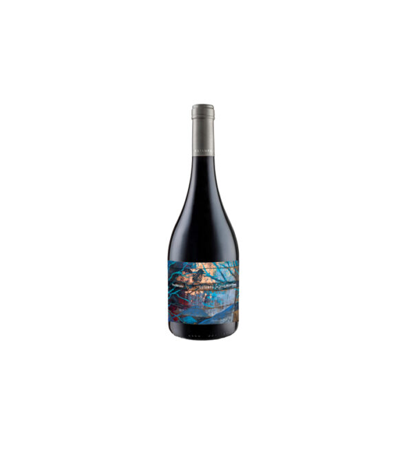 Estampa Inspiracion Nebbiolo