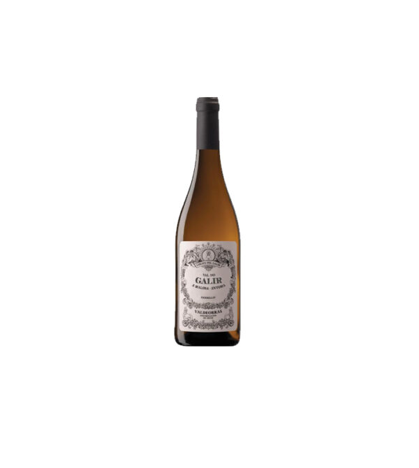 Virgin del Galir Godello